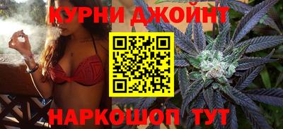 сатива Обнинск