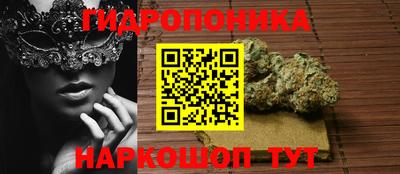 сатива Обнинск